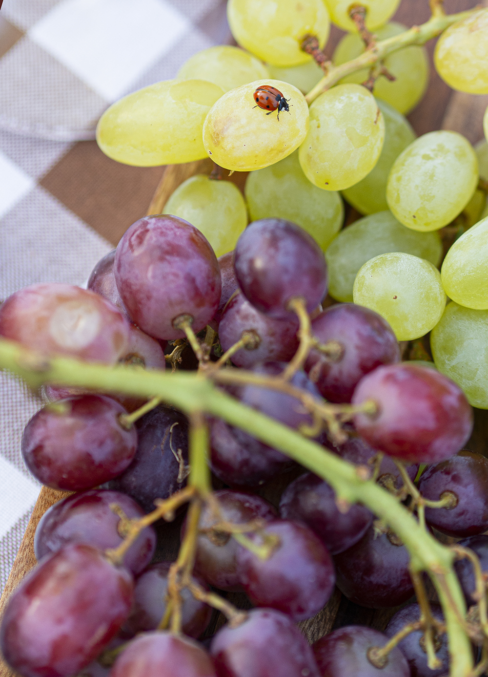 Una mesa campestre entre campos de colza para celebrar el amor_19